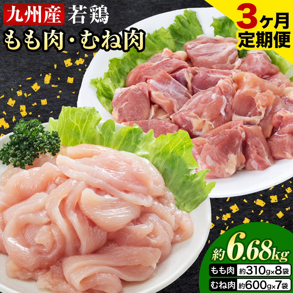 【3ヶ月定期便】 九州産若鶏もも肉（310g×8袋）・むね肉（600g×7袋）セット  鶏肉 お肉 モモ肉 もも肉 ムネ肉 むね肉 2種類 小分け 冷凍 九州産 国産 熊本県 菊池市 送料無料《お申し込みの翌月から出荷》---0146-3119---