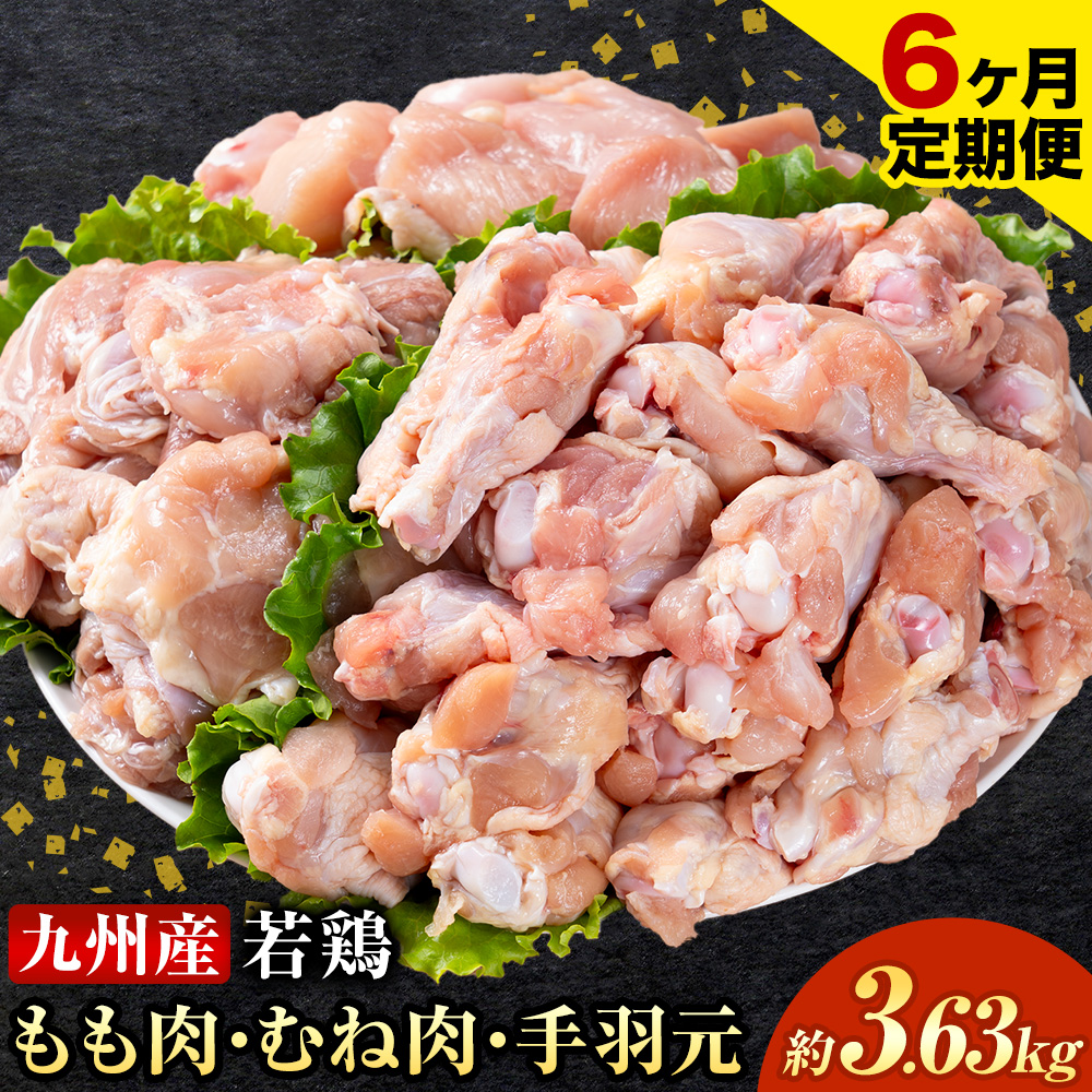 【6ヶ月定期便】 九州産 若鶏もも肉(310g×3袋) ムネ肉(600g×2袋) 手羽元 セット(500g×3袋) 計3.63kg 鶏肉 肉 鶏 手羽 手羽元 唐揚げ 詰め合わせ セット 冷凍 九州 国産 熊本県 菊池市 送料無料《お申し込みの翌月から出荷》---0146-3057---