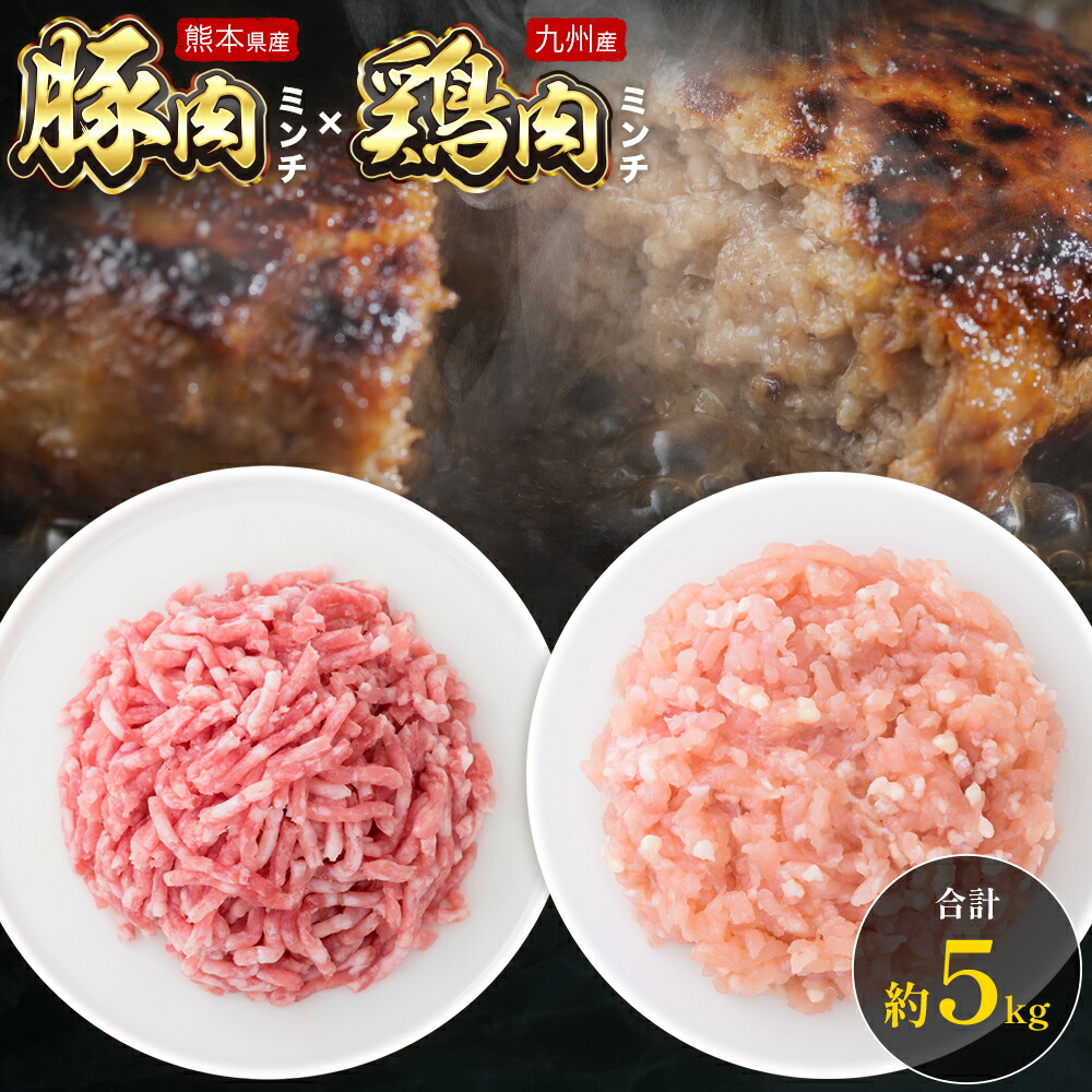 熊本県産 豚肉ミンチ 約3kg 九州産 鶏ミンチ 約2kg 計約5kg 植田商事有限会社 《90日以内に出荷予定(土日祝除く)》 熊本県 菊池市 ミンチ 豚肉 鶏肉 ハーブ鶏 お肉 熊本県産 九州産 国産 冷凍 送料無料---083-2071---