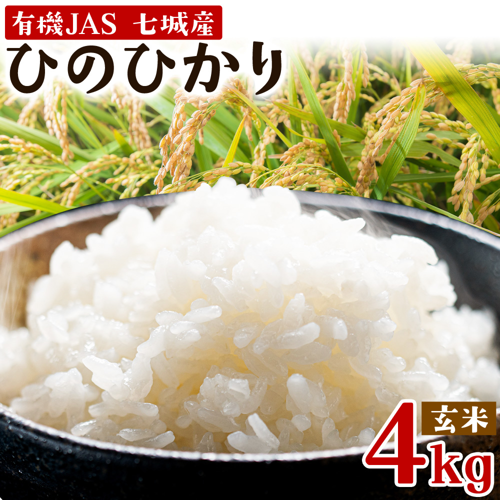 令和7年産 有機JAS 七城産ひのひかり 玄米 4kg 《30日以内に出荷予定(土日祝除く)》渡辺農産熊本県 菊池市 米 お米 精米 ひのひかり 菊池市産 熊本県産 九州産 送料無料---171-1912-G---