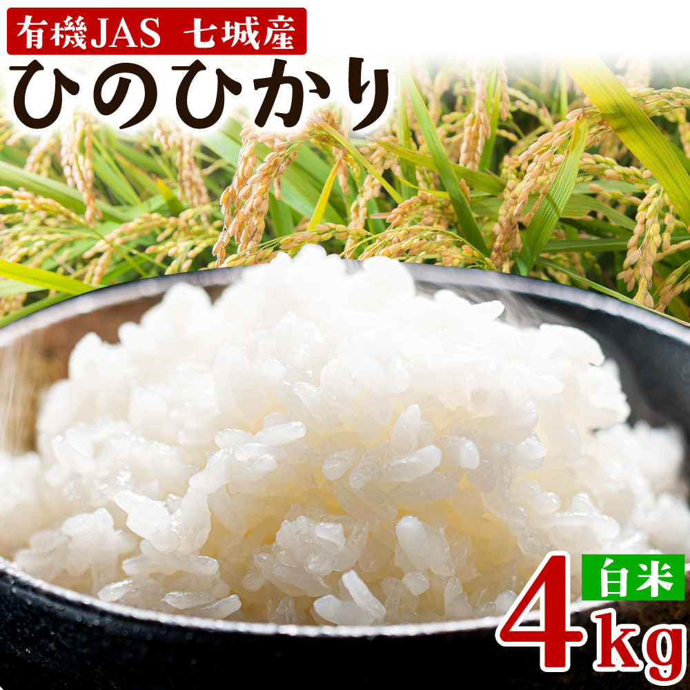 令和7年産 有機JAS 七城産ひのひかり 精米 4kg 《30日以内に出荷予定(土日祝除く)》渡辺農産熊本県 菊池市 米 お米 精米 ひのひかり 菊池市産 熊本県産 九州産 送料無料---171-1912-S---