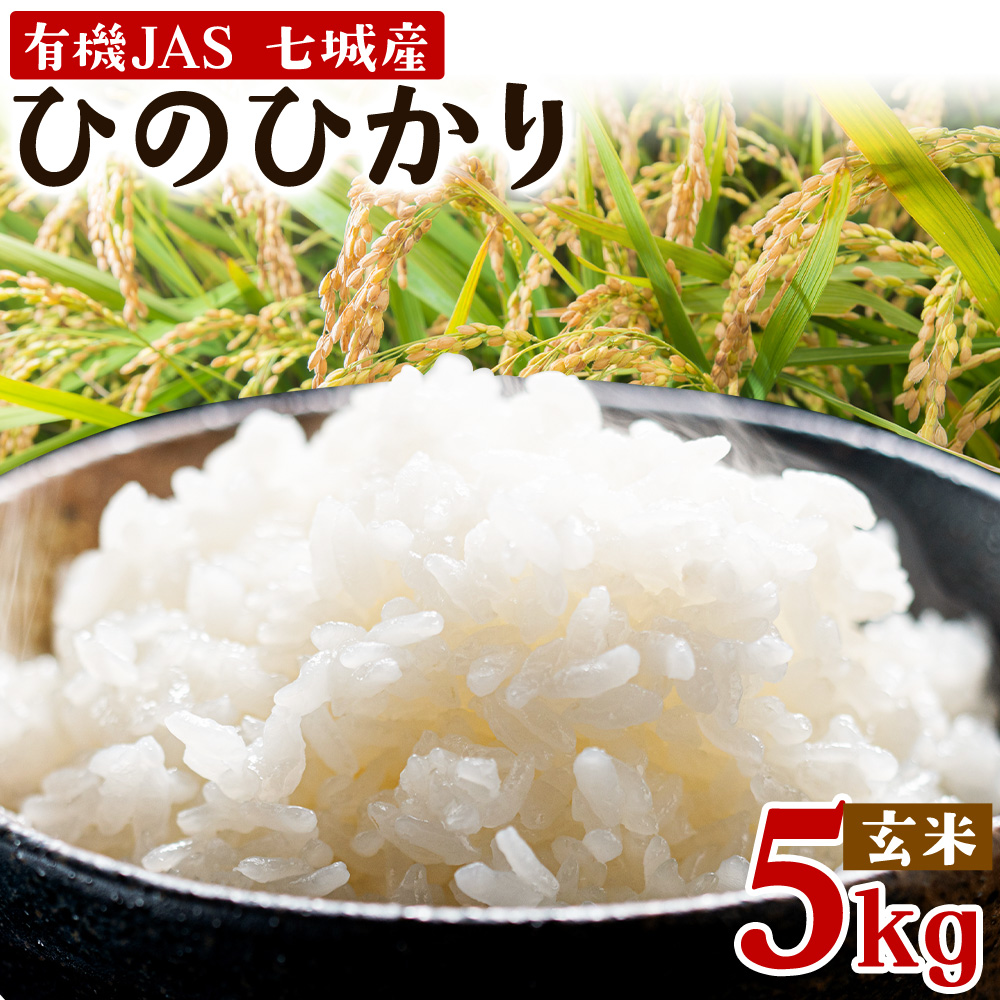 令和7年産 有機JAS 七城産ひのひかり 玄米 5kg 《30日以内に出荷予定(土日祝除く)》渡辺農産熊本県 菊池市 米 お米 精米 ひのひかり 菊池市産 熊本県産 九州産 送料無料---171-1911-G---