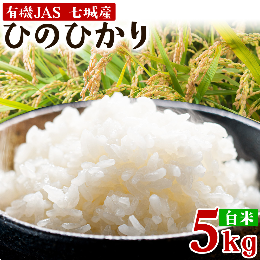 令和7年産 有機JAS 七城産ひのひかり 精米 5kg 《30日以内に出荷予定(土日祝除く)》渡辺農産熊本県 菊池市 米 お米 精米 ひのひかり 菊池市産 熊本県産 九州産 送料無料---171-1911-S---