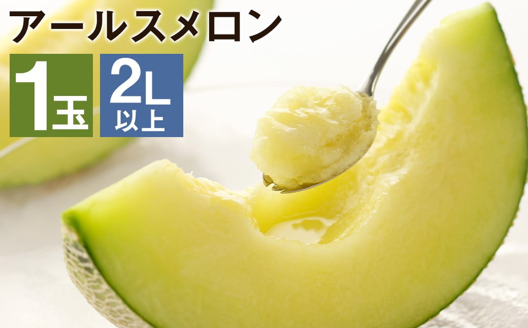 アールスメロン 1玉  2L以上 メロン フルーツ 果物 くだもの 【メロンドーム】《2026年7月下旬より発送》---003-1133---