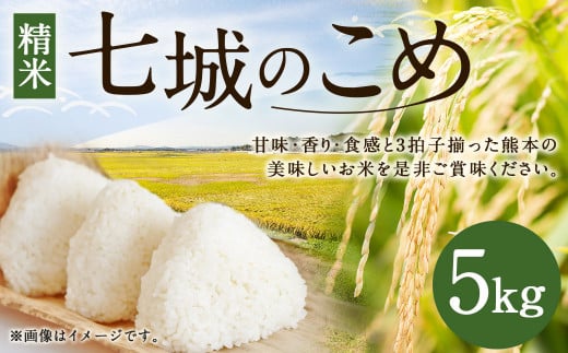 【令和7年産】 七城のこめ 精米 5kg ヒノヒカリ ひのひかり 《30日以内に出荷予定(土日祝を除く)》 白米 九州産 熊本県産---003-0545---