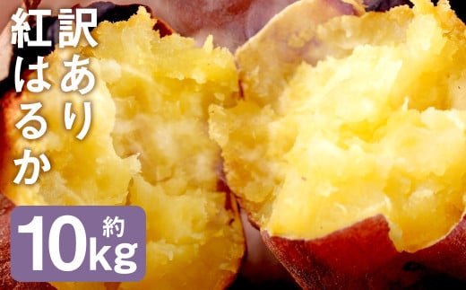 訳あり 紅はるか 約10kg 芋 さつまいも サツマイモ べにはるか 野菜 《90日以内に出荷予定(土日祝除く)》 ---177-2261---