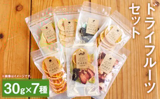 七種の ドライフルーツ セット 7種 30g×各1袋 合計210g 果物 フルーツ 果物 乾物 【メロンドーム】《90日以内に出荷予定(土日祝除く)》---003-2413---