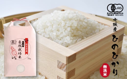 【令和7年産】【無洗米】有機JAS 七城産 ひのひかり 5kg《30日以内に出荷予定(土日祝除く)》---171-1913---