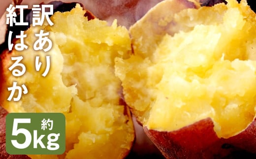 訳あり 紅はるか 約5kg 芋 さつまいも サツマイモ べにはるか 野菜 《90日以内に出荷予定(土日祝除く)》 ---177-2262---