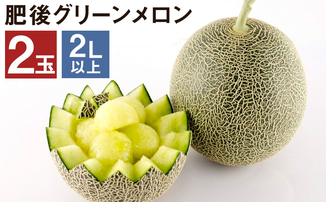 肥後グリーンメロン 2玉 (2L以上) くまモン箱入り メロンドーム 《2026年5月上旬より発送》---003-1570---