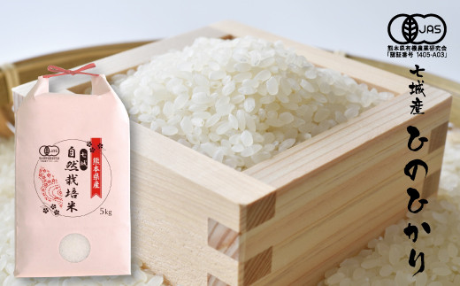 【精米】【令和7年産】有機JAS 七城産 ひのひかり 5kg《30日以内に出荷予定(土日祝除く)》---171-1911-S---