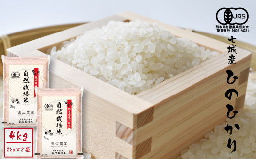 【精米】【令和7年産】有機JAS 七城産 ひのひかり 4kg(2kg×2袋)《30日以内に出荷予定(土日祝除く)》---171-1912-S---