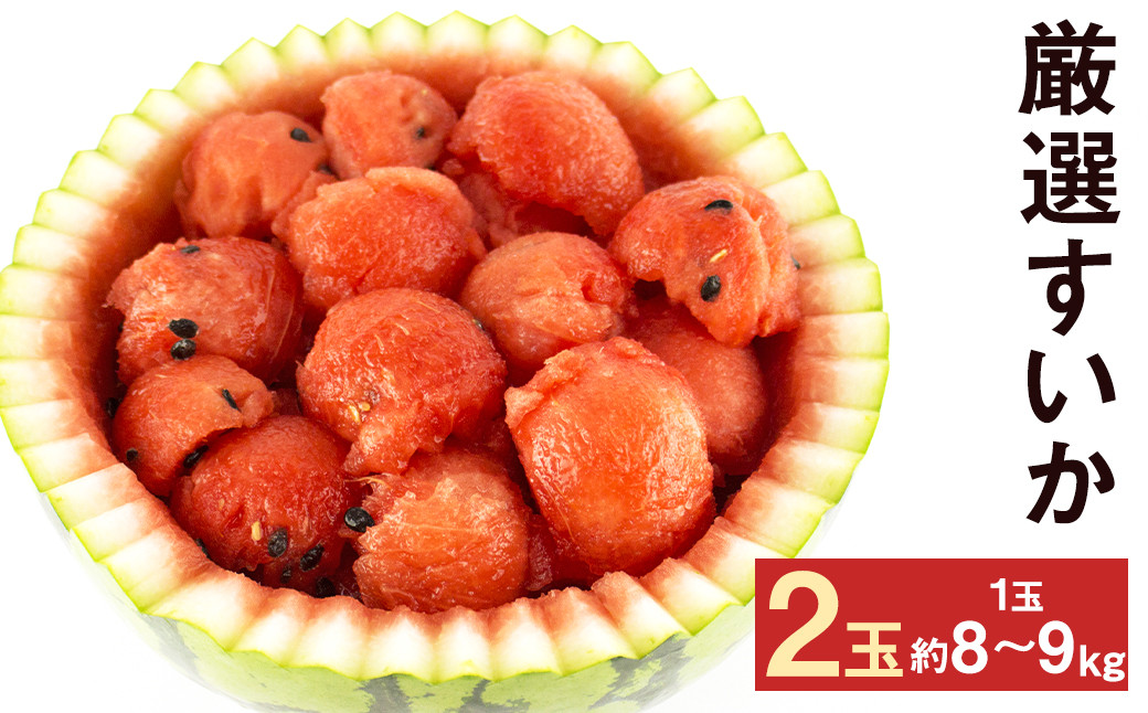  厳選  すいか 2玉 8kg～9kg メロンドーム 《2026年5月上旬より発送》---003-1575--