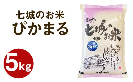【令和7年産】 七城のお米 ぴかまる 5kg 米 白米 精米 こめ コメ お米 ごはん ご飯 熊本県産 《10月中旬頃より出荷》