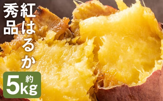 紅はるか 秀品 約5kg 芋 さつまいも サツマイモ べにはるか 野菜 《90日以内に出荷予定(土日祝除く)》 ---177-2263---