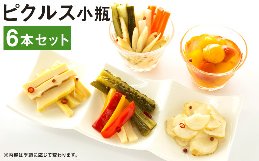 ピクルス 小瓶 (130～150g)×6本 セット 野菜 やさい 瓶詰め 【メロンドーム】《90日以内に出荷予定(土日祝除く)》---003-2412---