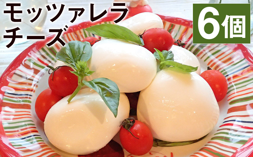 モッツァレラチーズ 「ミル爆」計600g（100g×6個）チーズ《90日以内に出荷予定(土日祝除く)》---018-1986---