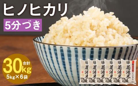 熊本県菊池産 ヒノヒカリ 5kg×6袋 計30kg 5分づき米 お米 分づき米 令和5産
