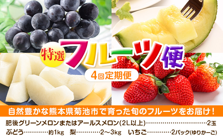 [定期便4回]厳選 フルーツ 便 ( メロン ぶどう 梨 いちご ) 葡萄 ブドウ ナシ なし 苺 イチゴ 果物 くだもの セット 詰合せ 定期便 メロンドーム [お申し込みの翌月から出荷]---003-2424---
