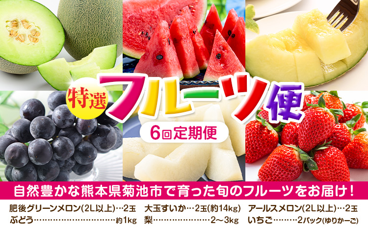 [定期便6回]特選 フルーツ 便 ( メロン すいか ぶどう 梨 いちご ) スイカ 葡萄 ブドウ ナシ なし 苺 イチゴ 果物 くだもの セット 詰合せ 定期便 メロンドーム[お申し込みの翌月から出荷]---003-2426---