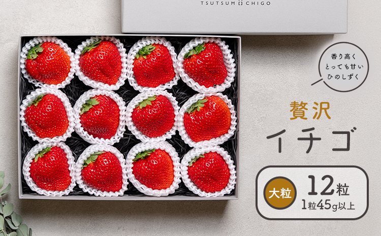 贅沢イチゴ ひのしずく 約45g×12玉 いちご イチゴ 苺[2026年3月発送予定]ヴァリアス株式会社 果物 くだもの フルーツ 希少 ギフト プレゼント 贈り物 国産 九州産 熊本県 菊池市 送料無料---028-0004---