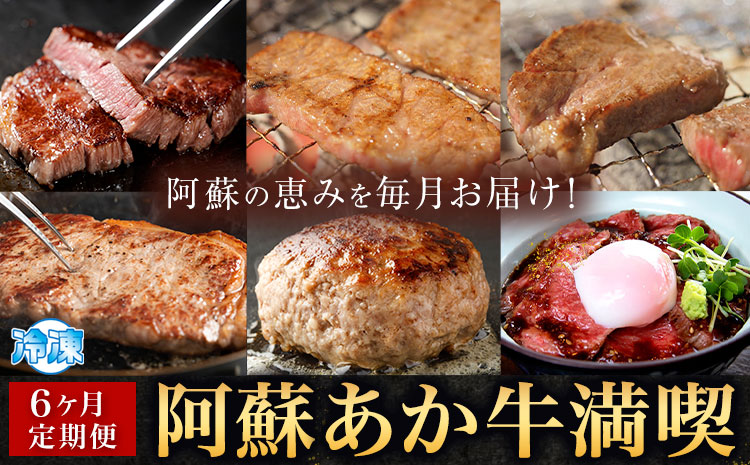 [6ヶ月定期便]阿蘇あか牛満喫セット 株式会社LARKS[お申し込み月の翌月から出荷開始]肉 牛肉 あか牛 ローストビーフ ハンバーグ 冷凍 名物 熊本県 毎月届く 送料無料---133-2114---