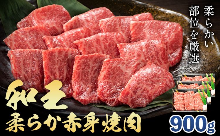 熊本県産A5等級和王 柔らか赤身焼肉 900g 帝神志方ミート株式会社[90日以内に出荷予定(土日祝除く)]熊本県 菊池市 牛肉 肉 お肉 和牛 くまもと黒毛和牛 熊本県産 A5 和王 赤身 赤身肉 柔らか 厳選 焼肉---0149-3022---