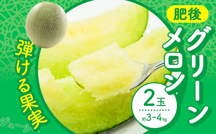 [先行予約] メロン 肥後グリーンメロン 2玉 約 3kg 〜 4kg 株式会社Foody's 食彩たかみ [2026年5月下旬-7月下旬頃出荷] 熊本県 菊池市 フルーツ 果物 メロン 九州産 冷蔵 送料無料---177-2670---