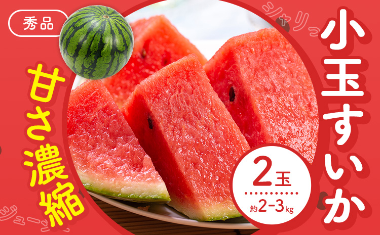 [先行予約]スイカ 小玉すいか 秀品 2玉 約 2kg 〜 3kg L 〜 3L 混合 株式会社Foody's 食彩たかみ [2026年5月下旬-7月下旬頃出荷] 熊本県 菊池市 フルーツ 果物 スイカ すいか 小玉 九州産 冷蔵 送料無料---177-2674---