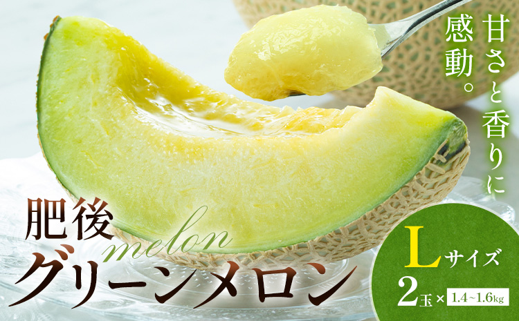 メロン 肥後グリーンメロン 中 Lサイズ 2玉 約1.4〜1.6kg×2 MOTOYAMA358FARM [2026年4月中旬-6月中旬頃出荷] 熊本県 菊池市 メロン 果物 フルーツ 九州産 国産 送料無料---180-2216---