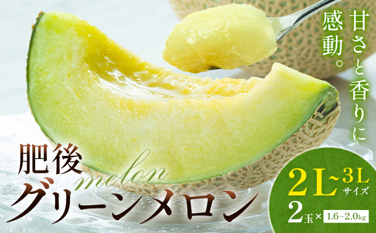 [先行予約]メロン 肥後グリーンメロン 大 2L 〜 3L サイズ 2玉 約1.6〜2kg×2 MOTOYAMA358FARM [2026年4月中旬-6月中旬頃出荷] 熊本県 菊池市 メロン 果物 フルーツ 九州産 国産 送料無料---180-2217---