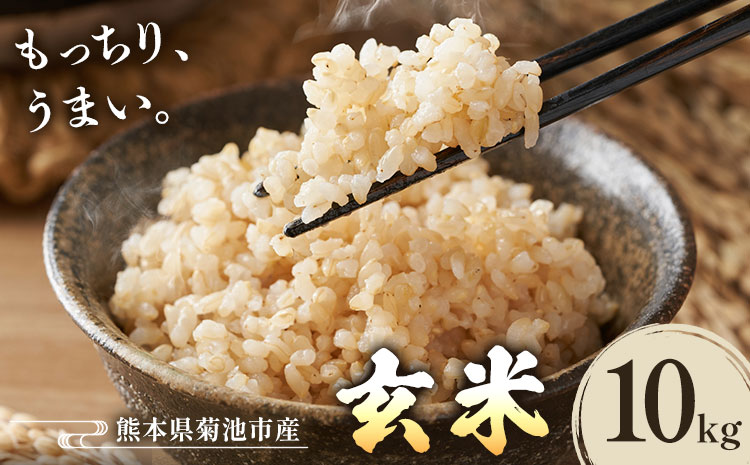 熊本県菊池産 玄米 10kg お米 ヴァリアス株式会社[30日以内に出荷予定(土日祝除く)] 菊池市産 熊本県産 九州産 送料無料---028-2481---