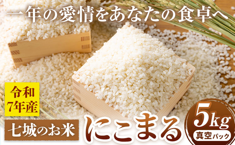 七城のお米 にこまる 5kg 真空パッケージ 白米 精米 令和7年産 堀田農場[30日以内に出荷予定(土日祝除く)]お米 熊本県 菊池市 熊本県産 九州産 送料無料---030-2623---