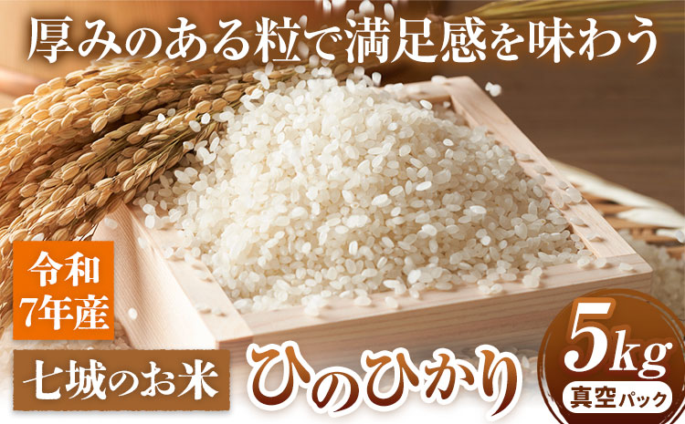 七城のお米 ヒノヒカリ 5kg 真空パッケージ 白米 精米 令和7年産 堀田農場[30日以内に出荷予定(土日祝除く)]お米 ひのひかり 熊本県 菊池市 熊本県産 九州産 送料無料---030-2624---