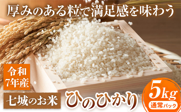 七城のお米 ヒノヒカリ 5kg 通常パッケージ 白米 精米 令和7年産 堀田農場[30日以内に出荷予定(土日祝除く)]お米 ひのひかり 熊本県 菊池市 熊本県産 九州産 送料無料---030-5002---