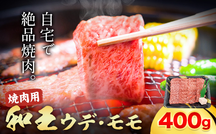 熊本県産A5等級和王 ウデ・モモ 焼肉用 約400g (約400g×1パック) 帝神志方ミート株式会社[90日以内に出荷予定(土日祝除く)]熊本県 菊池市 牛肉 肉 お肉 和牛 くまもと黒毛和牛 熊本県産 A5 和王 ウデ肉 モモ肉 焼肉---0149-3012---