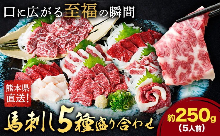 馬刺し 5種 盛り合わせ セット 計250g 5人前 熊本直送 赤身 霜降り フタエゴ バラヒモ コーネ 株式会社Foody's[30日以内に出荷予定(土日祝除く)]熊本県 菊池市 馬刺し 馬肉 肉 お肉---159-4302---
