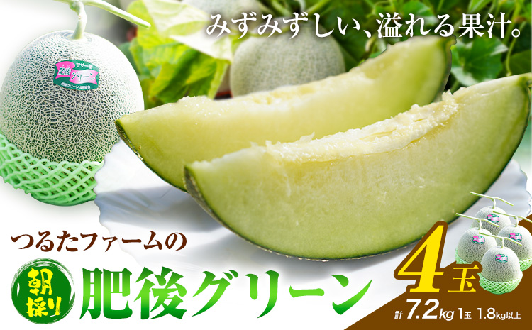 つるたファームの 朝採り 肥後グリーン メロン 1.8kg以上 4玉 株式会社七城の恵み[5月上旬-5月下旬に出荷]熊本県 菊池市 メロン つるたファーム---126-2519---