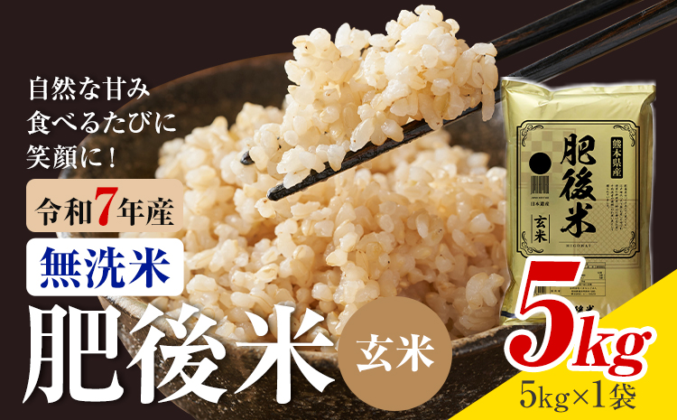 令和7年産 熊本県産 肥後米 玄米 5kg 1袋5kg 株式会社くまもとごはん [30日以内に出荷予定(土日祝除く)]米 お米 令和7年産 九州産 熊本県産 送料無料---026-3012---