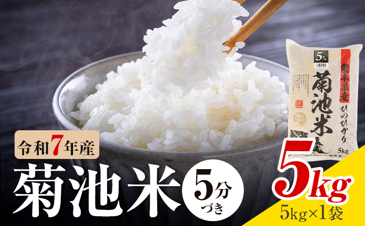 令和7年産 熊本県産 菊池米 5分づき 5kg 1袋5kg 株式会社くまもとごはん [30日以内に出荷予定(土日祝除く)]米 お米 令和7年産 九州産 熊本県産 送料無料---026-3083---