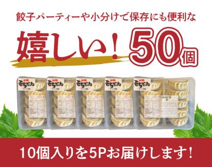 119-2 口福餃子「和（もち）豚」使用　しそ入り餃子（冷凍生）