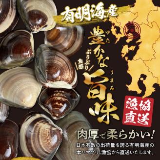 46-25 はまぐり 本はまぐり 約 1kg 漁協直送 網田 有明海産 魚介 貝 海鮮 国産 天然 バーベキュー BBQ 和食 パエリア お吸い物 酒蒸し 焼はま 網焼き 食品 お取り寄せ お取り寄せグルメ 送料無料 【熊本県宇土市】