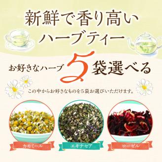 42-16　熊本ハーブ園レモングラス産 農薬不使用シングルハーブ小袋5袋セット