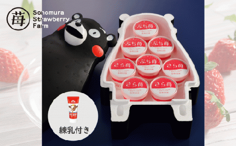 74-37　園村苺園完熟冷凍いちご！「ぷち苺」と「さら苺」各4カップ　練乳付き In くまモンの箱入り