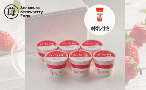 74-35　園村苺園　宇土産 完熟冷凍いちご「ぷち苺」と「さら苺」各3カップ　練乳付き