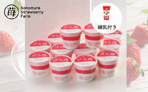 74-33　園村苺園　熊本県宇土産 完熟冷凍いちご「さら苺」12カップ　練乳付き