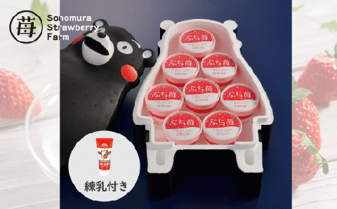 74-31　園村苺園　完熟冷凍いちご！「ぷち苺」８カップ練乳付き in くまモンの箱入り