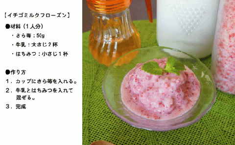 74-41　園村苺園　熊本県宇土産 完熟冷凍いちご「さら苺」1kg（500g×2パック）