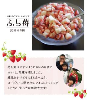 74-20　園村苺園　宇土産 完熟冷凍いちご「ぷち苺」1kg（500g×2パック）
