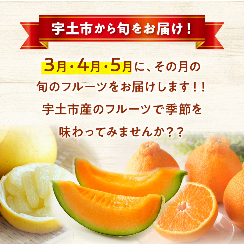 T007-haruiro【宇土市】はるいろ定期便